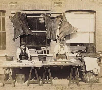 Leer verven voor het maken van handschoenen, Bevington and Sons, 1861-62 door English Photographer